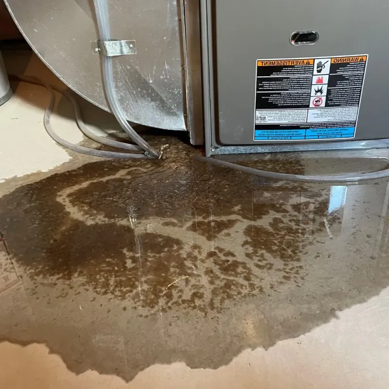 Pipe Burst and Leak Restoration in West Springfield, MA